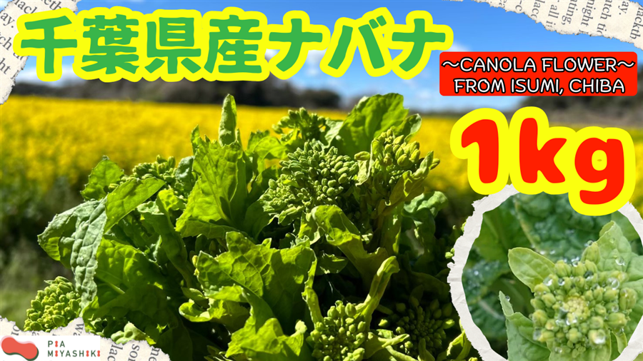 �E�݂��č؉ԁ@1��  1kg�i�ŏI�o�ד��Q��27���j�①�z��