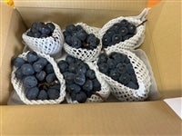 iKmp[viƒpj3kg