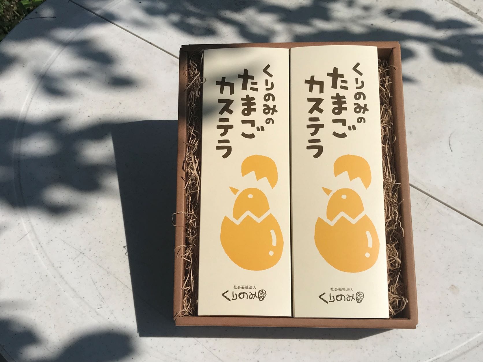 �y�������z����݂̂��܂��J�X�e���i��2�{�j