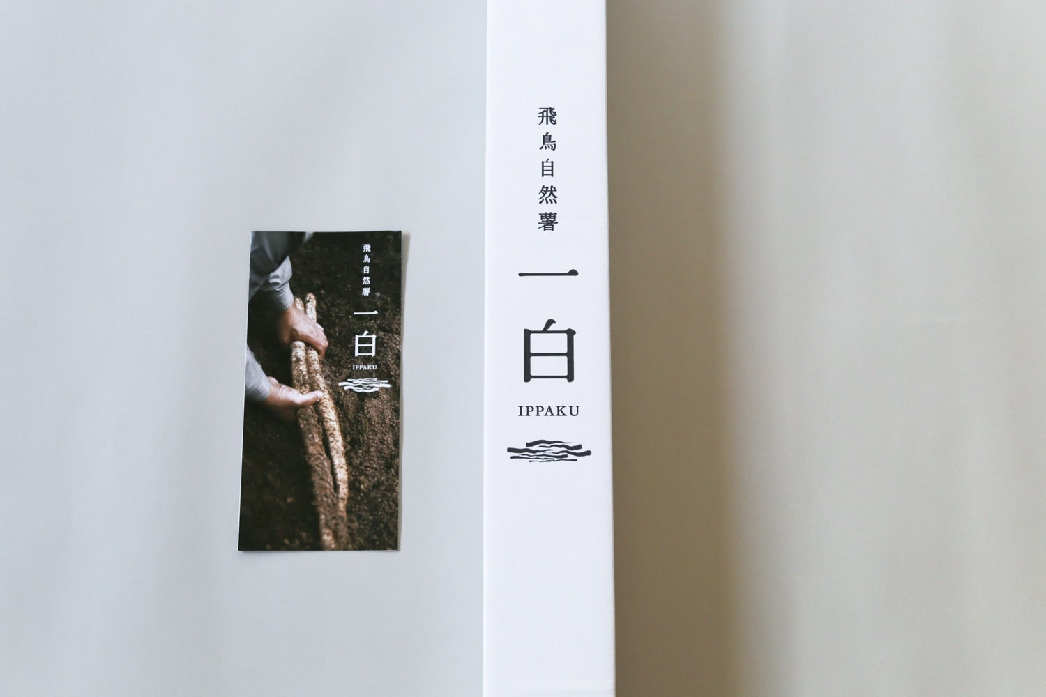 򒹎Ruꔒ IPPAKUvP{700g