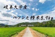 �y�򕌑�w�Y�z�n�c�V������8.9kg�y�ߘa7�N�Y�z