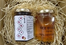  �򕌑�w���˃L�����p�X�̏����͂��݂ƃW�����̃Z�b�g