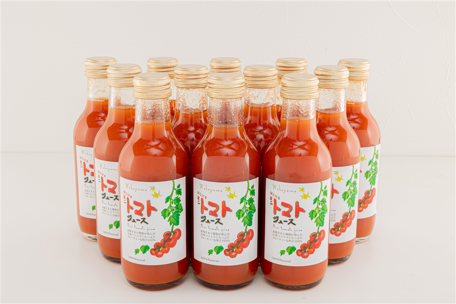 �y�V�t��������CP�z�~�j�g�}�g�W���[�X 12�{�Z�b�g