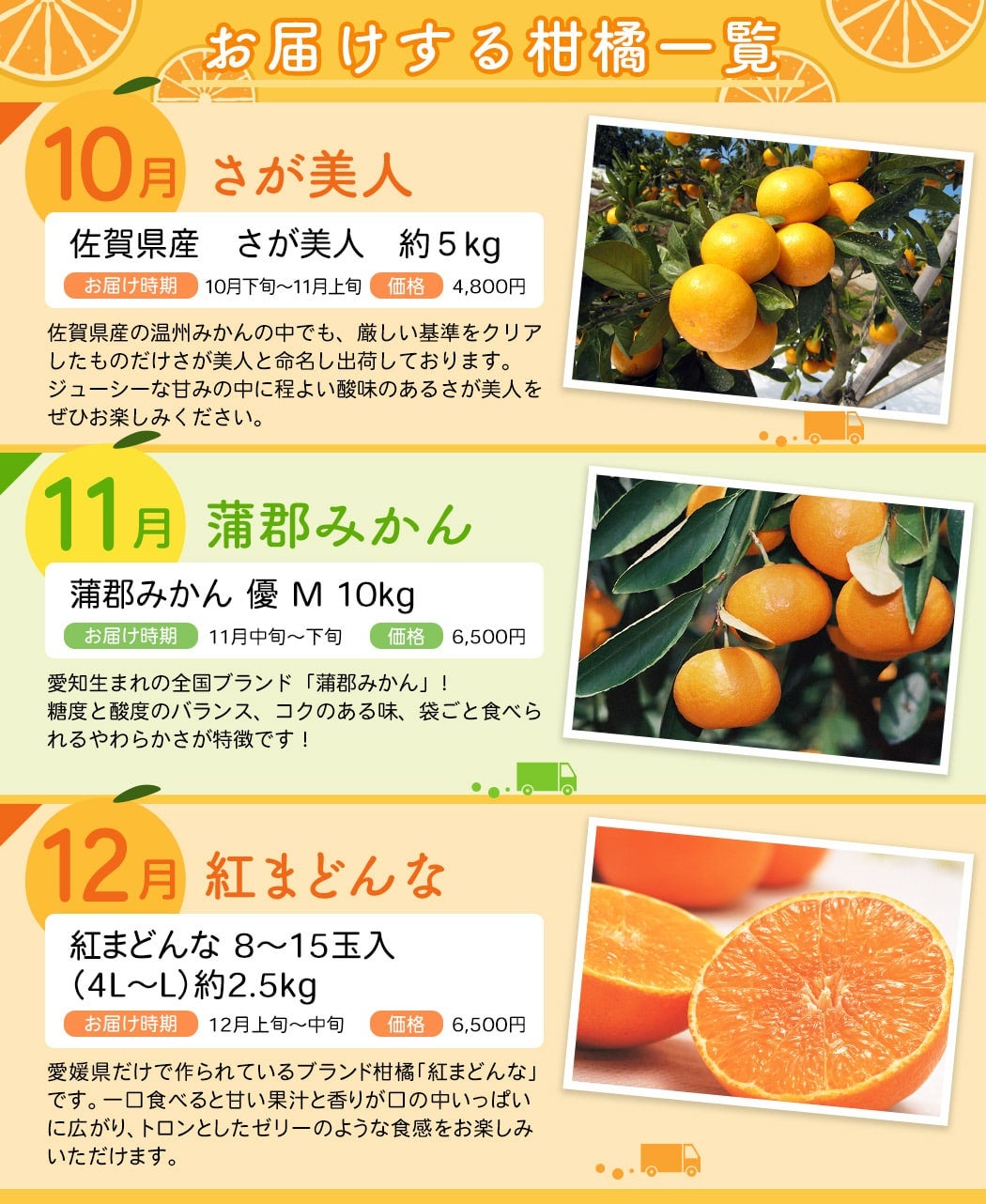 産地直送 通販 お取り寄せ 日本各地の柑橘を6ヵ月毎月お届け Jaタウン柑橘頒布会jaタウン 産地直送 通販 お取り寄せ 日本各地の柑橘を6ヵ月毎月お届け Jaタウン柑橘頒布会jaタウン