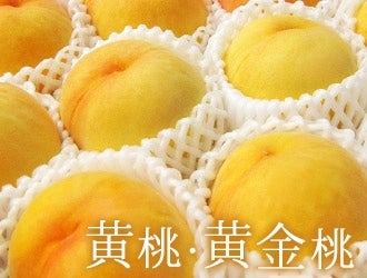 黄桃・黄金桃