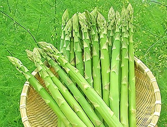 kCỸAXp
