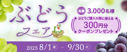 温室シャインマスカット 約500g 1房入り 5月下旬から発送