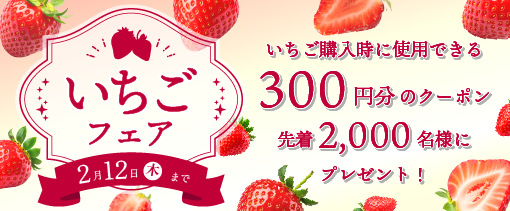 �������t�F�A