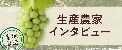 【生産者インタビュー】岡山のマスカット・オブ・アレキサンドリア140周年