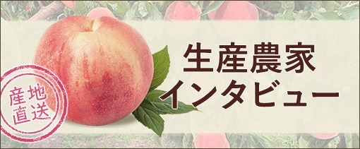 【生産者インタビュー】品種リレーで楽しめる福島の桃