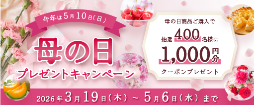 ��̓��v���[���g�L�����y�[��