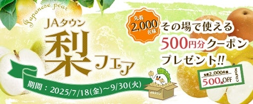 幸水梨　5L（8月頭発送） 幸水梨 約5kg 8月上旬発送 梨 梨 梨 梨 梨 梨 梨 | 茨城県八千代