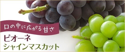 {̂Ԃǂ