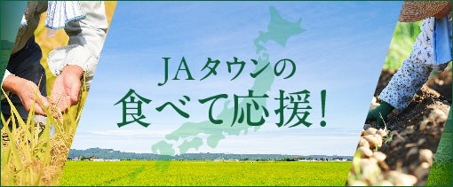 JA^E̐Hׂĉ