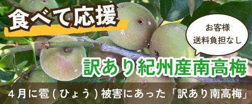 Hׂĉ qlSȂ 󂠂IBY썂~