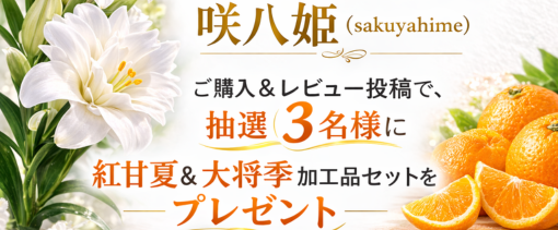 �甪�P�w�������r���[���e�v���[���g�L�����y�[�� 2026�N34��30���܂�