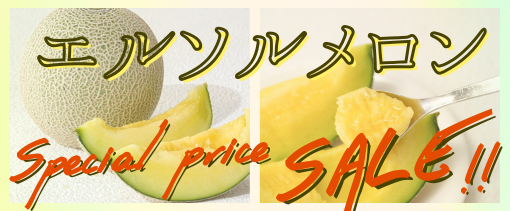 ��錧�Y�G���\�������������Z�[�� 2026�N5��6���܂�