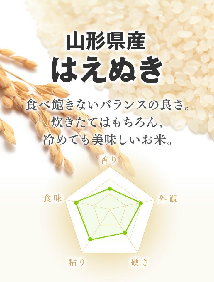 通販　5ｋｇ:　令和3年産　ＪＡてんどうフーズ|【ＪＡタウン】産地直送　山形県天童産はえぬき　お取り寄せ