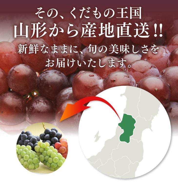 ②北海道★山形県産　ニューピオーネ　2.5キロ　3〜4房前後　種なしぶどう