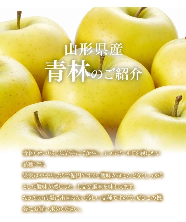 秀品山形県産りんご青林約3kg: ＪＡてんどうフーズ|【ＪＡタウン】産地直送 通販 お取り寄せ