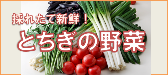 産地直送 通販 お取り寄せとちぎ新鮮倉庫 ｊａタウン