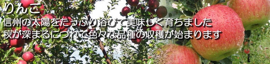 産地直送 通販 お取り寄せ全農長野 僕らはおいしい応援団|ＪＡタウン