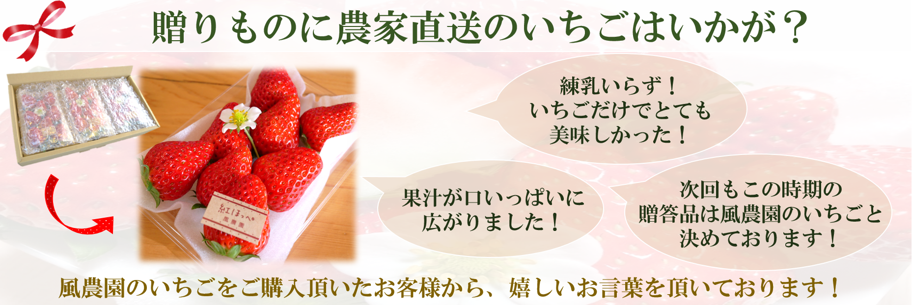 産地直送 通販 お取り寄せ三重県産いちご 風農園 紅ほっぺ 約2g 3p 三重の味自慢 jaタウン 産地直送 通販 お取り寄せ三重県産いちご 風農園 紅ほっぺ 約2g 3p 三重の味自慢 jaタウン