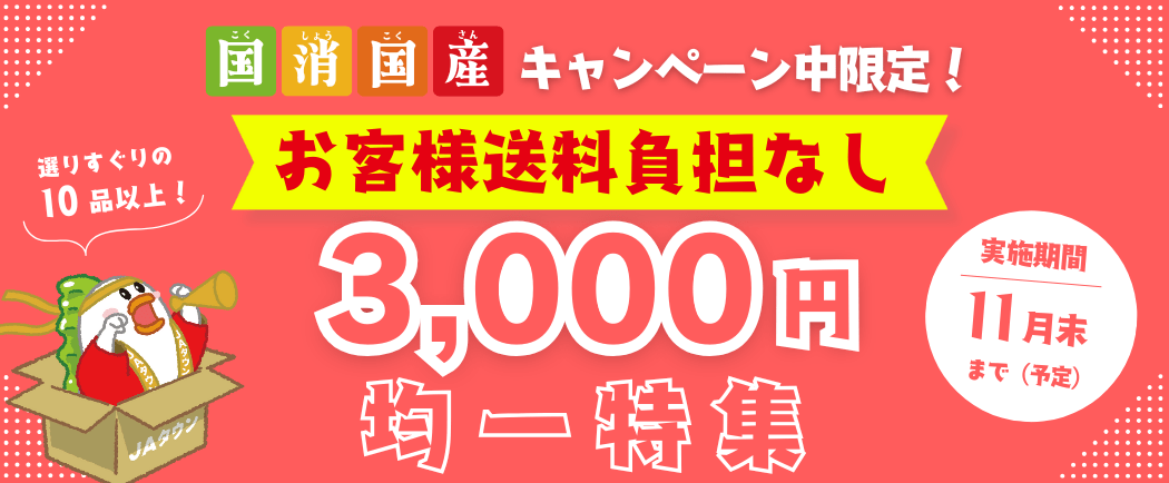 3000~ψ@