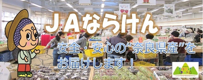 1322円 公式通販 三輪素麺 誉 T33605 1322円 公式通販 三輪素麺 誉 T33605