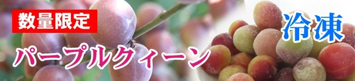 冷凍パープル
