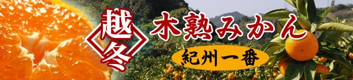 年末年始
