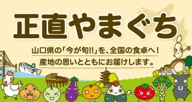 産地直送 通販 お取り寄せ活きたままお届け 活き車海老 ３００ｇ 正直やまぐち ｊａタウン