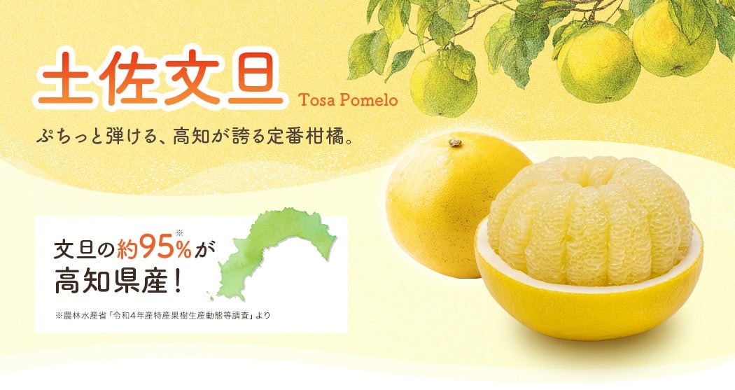 �y�����U���W ���U�̖�95�������m���Y�I