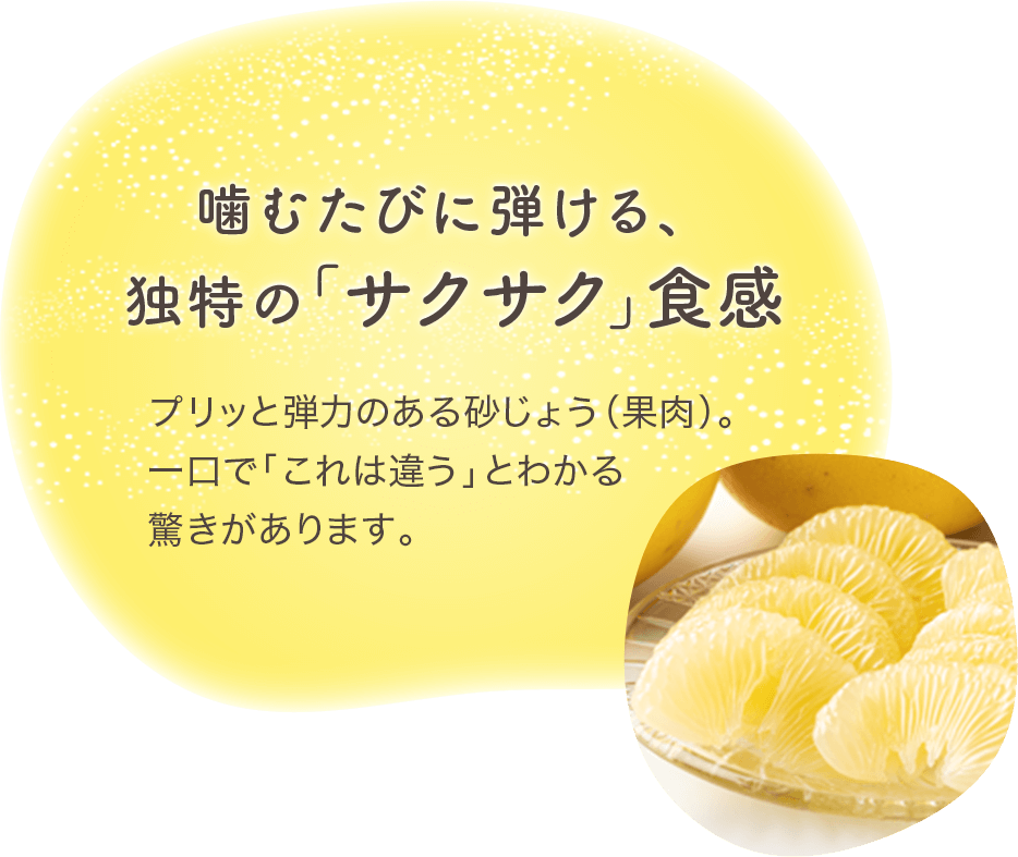 ���ނ��тɒe����A�Ɠ��̃T�N�T�N�H��