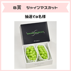 福岡夏の魅力発見！キャンペーン: 博多うまかショップ|【JAタウン