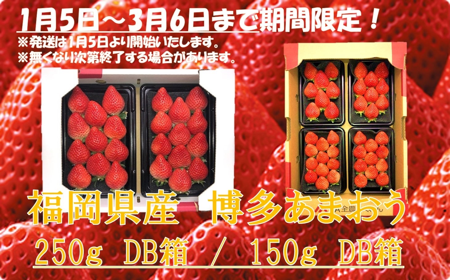 トップ100 イチゴ は 野菜 か 果物 か 最高の花の画像 トップ100 イチゴ は 野菜 か 果物 か 最高の花の画像
