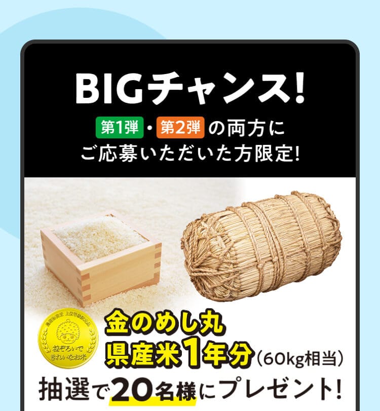 ��1�e�E��2�e�̗����ɂ����傢�����������ɋ��̂߂��ی��Y��1�N�������I��20���l�Ƀv���[���g�̃`�����X�I