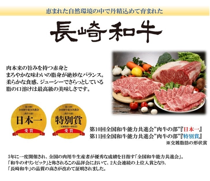 おすすめ しゃぶしゃぶ すき焼き 長崎和牛モモスライス ふるさと納税 諫早市 500g×1パック 牛肉