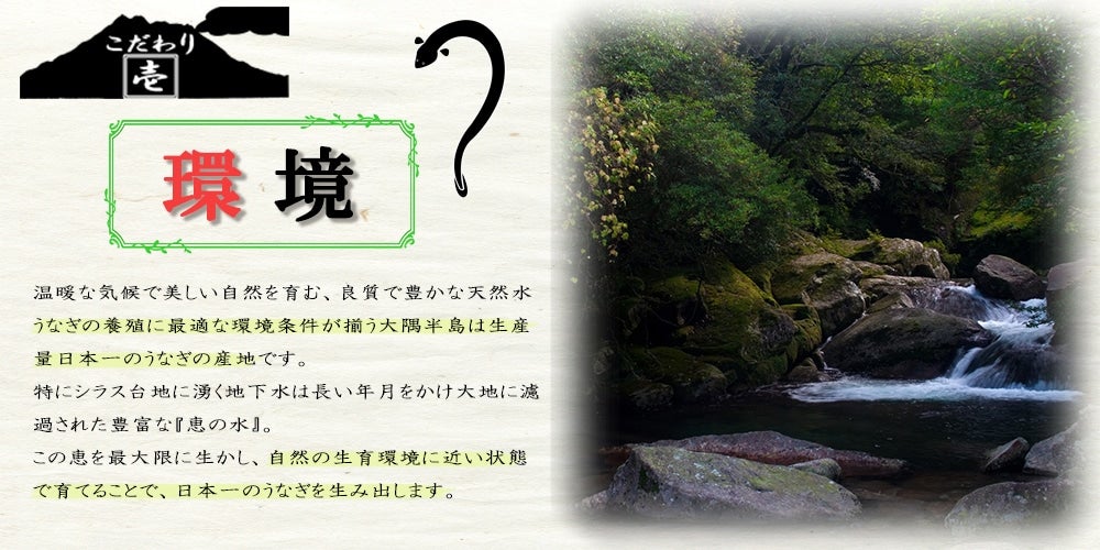 産地直送 通販 お取り寄せ【農家応援】鹿児島県産 うなぎ蒲焼 ギフト真空パック2尾: おいどんショップ鹿児島|ＪＡタウン