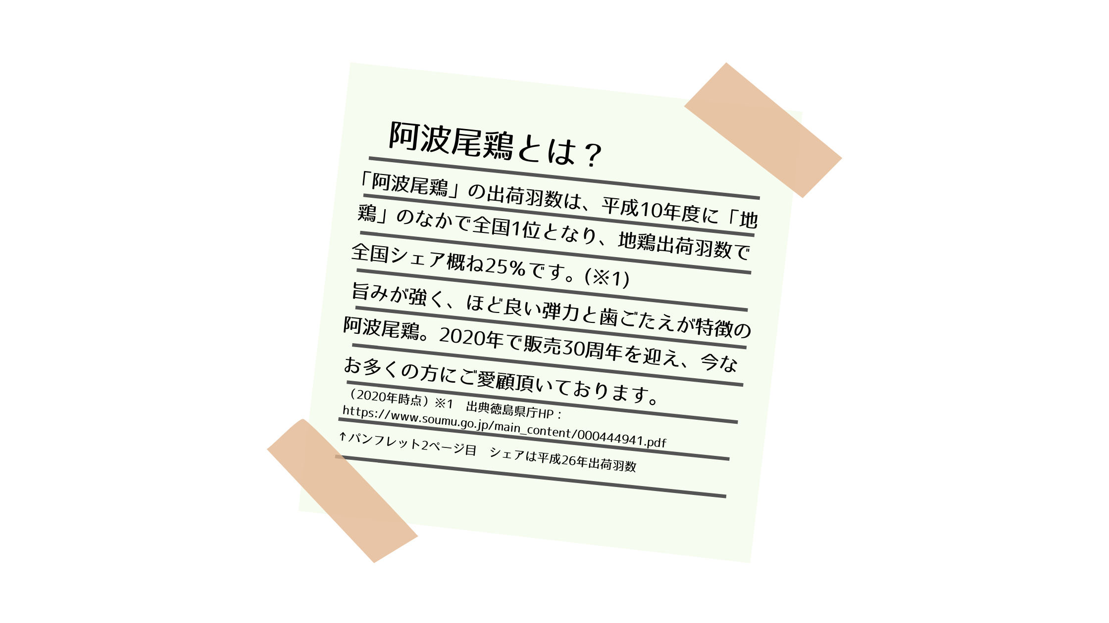 阿波尾鶏とは