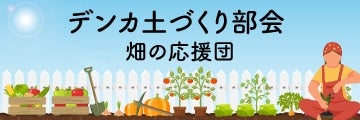fJyÂ蕔@̉c