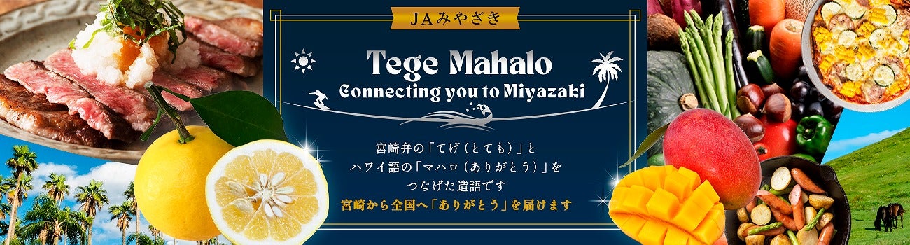 JA݂₴ Tege Mahalo