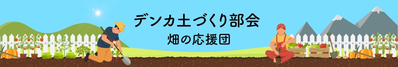 fJyÂ蕔@̉c