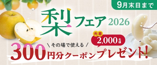 鳥取県産 二十世紀梨 10kg (28～36玉): 全農とっとり JAタウン店
