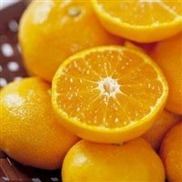<font color=darkorange size=4><b>gnsI </font></b>NX^[głIu񂫂[v<font color=darkorange  size=4><b>R哇݂</font></b><!--uYB݂v̔Jn܂ (*^^)V<br>݂̓̑蕨I<b><font color=darkorange size=4>uR哇݂v</b></font>-->̓R`