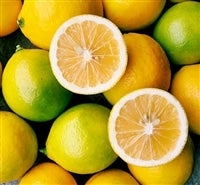 <font color=orange size=4><b> mdvI</font></b>炲ƐHׂVõ<font size=4 color=orange><b>u˓}C[v</font></b>̓R`