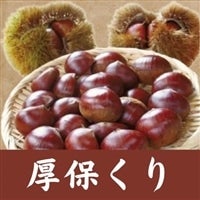 <font color=maroon size=4><b>toI </font></b>uAcAc!!vgnsȁ <font size=4 color=maroon><b>u()v</font></b>̓R`