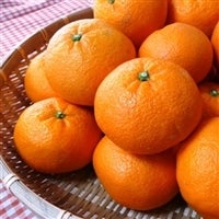 <!--<font color=hotpink size=4><b>�m�d�v�I</font></b>�����킹�͂��ԁ�t�݂���<font color=hotpink size=4><b>�u��߂ق��؁��v</font></b><b>�R���P�U��(��)�P�P��</b>����̔��J�n���܂��I�̔��J�n���܂����I-->

<font color=orangered size=4><b>�ē��ׁI </font></b>�����킹�͂��ԁ�t�݂���<font size=4 color=orangered><b>�u��߂ق��؁��v</font></b>�������̓R�`�������