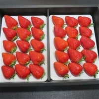 <font color=crimson size=4><b> mdvI </font></b>܂̂<font size=4 color=crimson><b>úv</font></b>̓R`