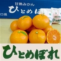 <font color=purple size=4><b><!--�̔����ԉ����I-->�t�o�I</font></b>���։z�~�Ïn�݂���<font size=4 color=purple><b>�u�ЂƂ߂ڂ�v(2S�T�C�Y) </font></b>�̔����ԉ������܂����􂺂Ђ��̋@��ɂ��ܖ����������I</font>